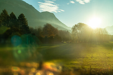 Image showing Natural landscape with trees, mountains and blurred forefront, Austria.