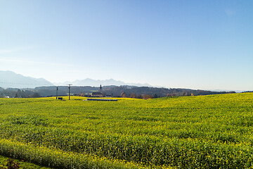 Image showing Autumn landscape with green farm agricultural fields and blue sky, Austria.