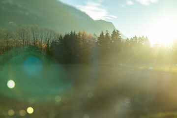 Image showing Blurred natural landscape in the sunny light in autumn day, Austria.