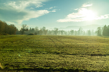 Image showing Sunny morning natural landscape with agricultural fields , Austria.