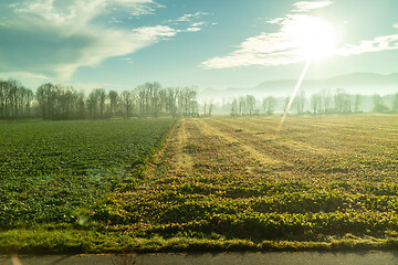 Image showing Agricultural green fields and areas under bright sun in Austria country.