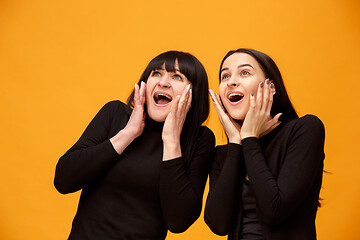 Image showing A portrait of a surprised mother and daughter