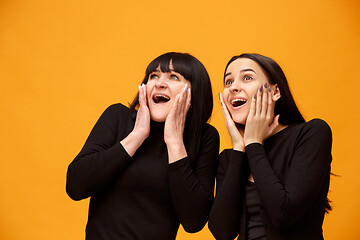 Image showing A portrait of a surprised mother and daughter