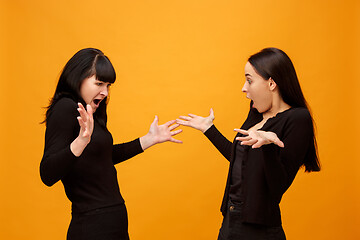 Image showing A portrait of a surprised mother and daughter