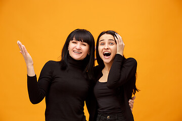 Image showing A portrait of a surprised mother and daughter