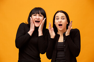 Image showing A portrait of a surprised mother and daughter