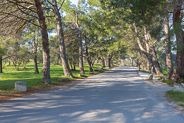 Image showing Asylum Road Saint Remy