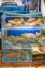 Image showing Fish and Crabs