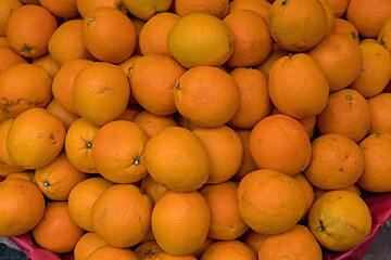 Image showing Oranges