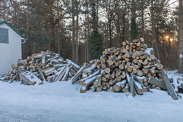 Image showing Firewood Behind Cabin