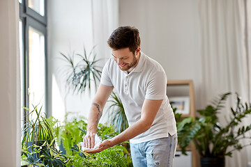 Image showing man cleaning houseplant\'s leaves at home