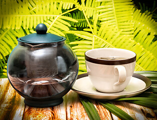 Image showing Outdoor Green Tea Represents Refresh Drink And Refreshes 