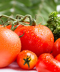 Image showing Selection of fresh red tomatoes and green salad 