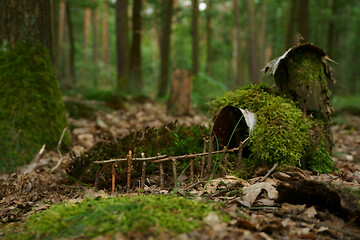 Image showing small house in the moss