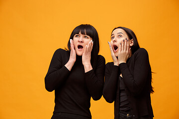 Image showing A portrait of a surprised mother and daughter