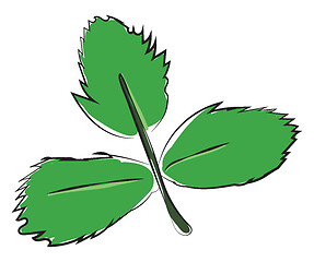 Image showing Clipart of three green leaves on a slender stalk vector or color