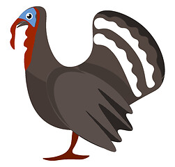 Image showing A Turkey bird vector or color illustration