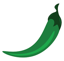 Image showing A long spicy green pepper used to a=make a spicy dish vector col