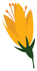 Image showing Flower with yellow petals vector or color illustration