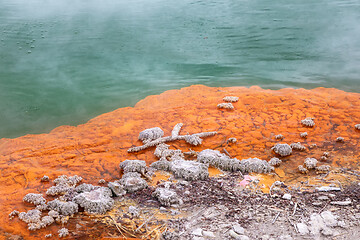 Image showing hot sparkling lake in New Zealand