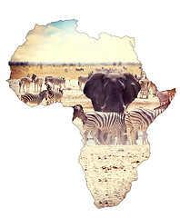 Image showing Map of africa continent concept, safari on waterhole with elephants