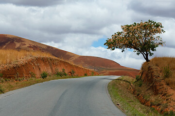 Image showing Road through Madagascar highland countryside landscape.