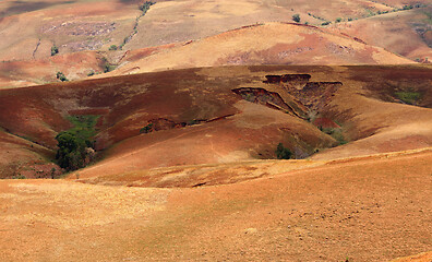 Image showing Madagascar countryside highland landscape