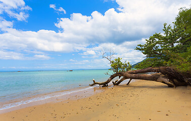 Image showing Beautiful dream paradise beach, Madagascar