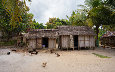 Image showing African malagasy huts in Maroantsetra region, Madagascar