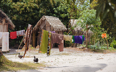 Image showing African malagasy huts in Maroantsetra region, Madagascar