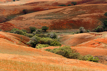 Image showing Madagascar countryside highland landscape
