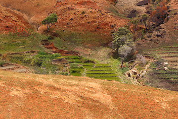 Image showing Road through Madagascar highland countryside landscape.