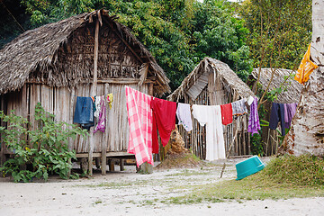 Image showing African malagasy huts in Maroantsetra region, Madagascar
