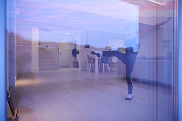 Image showing girl online education ballet class at home