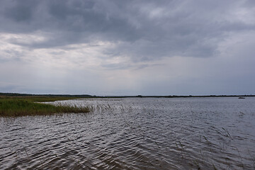 Image showing Nature reserve pape lake in rain