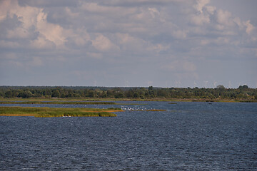 Image showing Peaceful Liepaja Lake in summer with birds