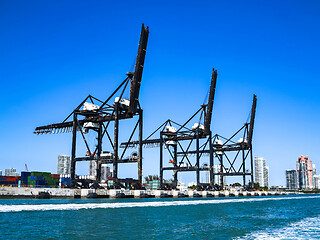 Image showing Port of Miami Cranes