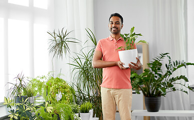 Image showing indian man taking care of houseplants at home