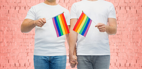 Image showing male couple with gay pride flags holding hands