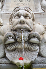 Image showing Fountain face with rose petal