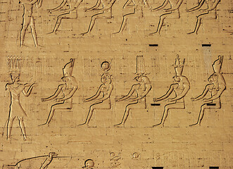 Image showing Hieroglyphic carvings in ancient temple