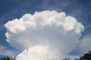 Image showing Mushroom cloud