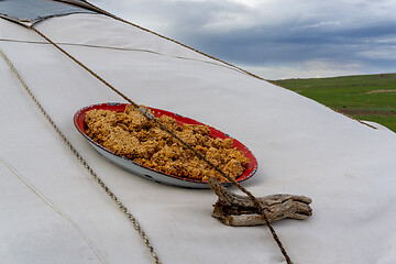 Image showing Mongolian gurt from sour milk drying