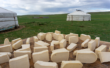 Image showing Mongolian gurt from sour milk drying