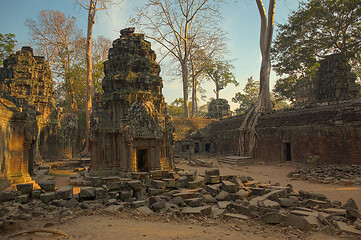 Image showing Ta Prohm temple in Angkor Wat Cambodia