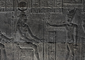 Image showing Hieroglyphic egypt carvings on wall