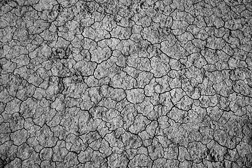 Image showing Dry cracked soil during drought 