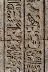 Image showing ancient egypt hieroglyphics on wall