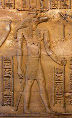 Image showing Hieroglyphic carvings of Sebek god