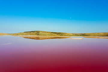 Image showing Pink lake Chokrak in Crimea